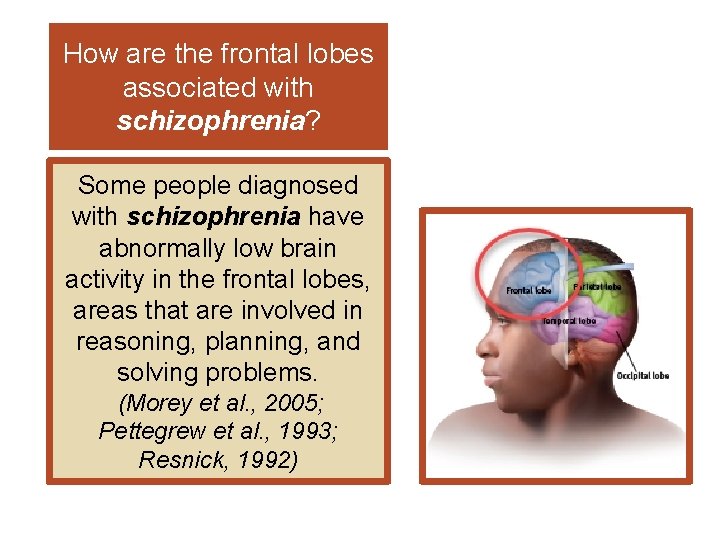 How are the frontal lobes associated with schizophrenia? Some people diagnosed with schizophrenia have
