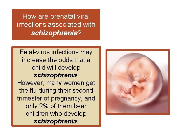 How are prenatal viral infections associated with schizophrenia? Fetal-virus infections may increase the odds
