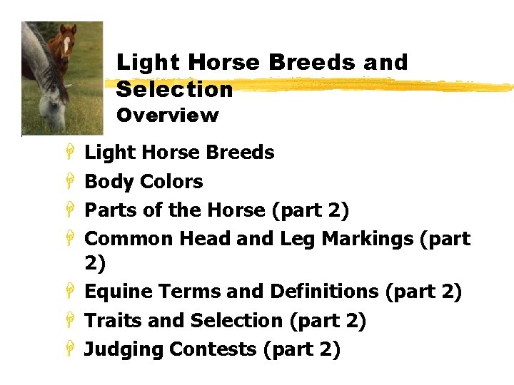 Light Horse Breeds and Selection Overview Light Horse Breeds Body Colors Parts of the