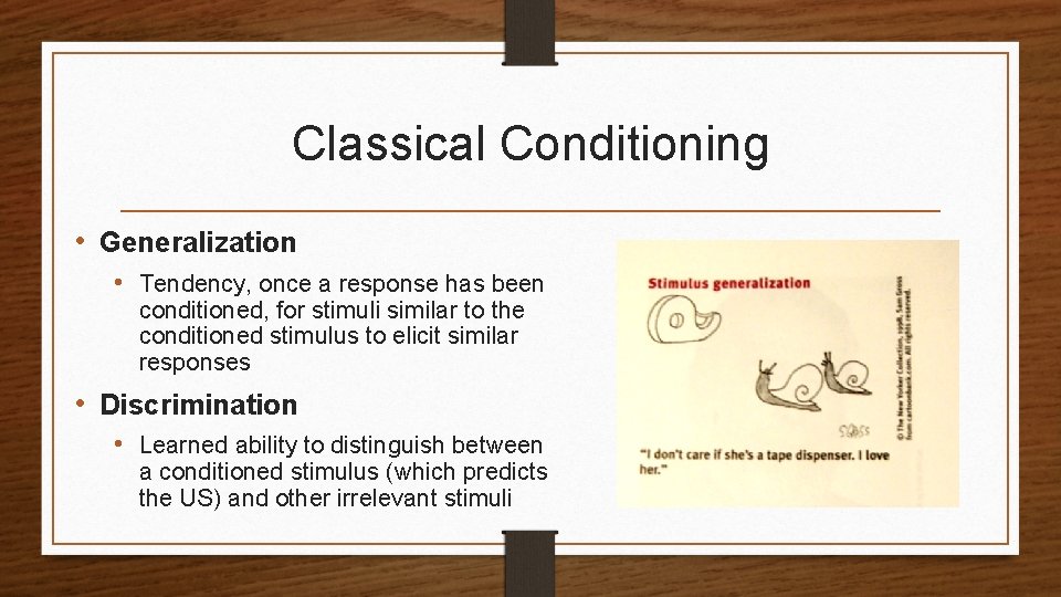 Classical Conditioning • Generalization • Tendency, once a response has been conditioned, for stimuli