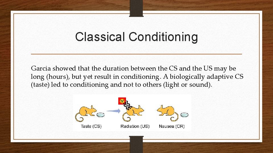 Classical Conditioning Garcia showed that the duration between the CS and the US may