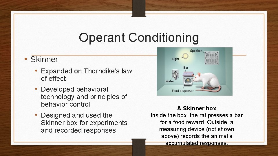 Operant Conditioning • Skinner • Expanded on Thorndike’s law of effect • Developed behavioral