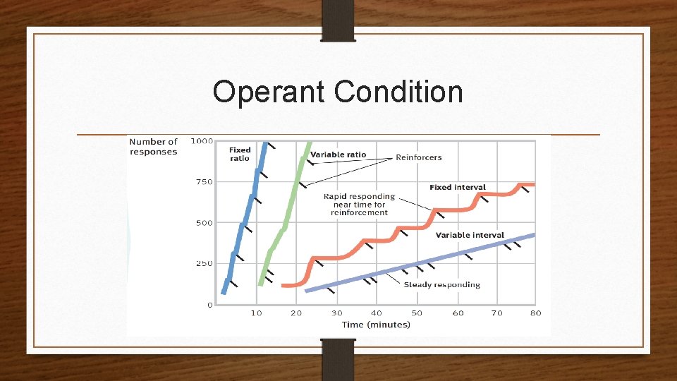 Operant Condition 