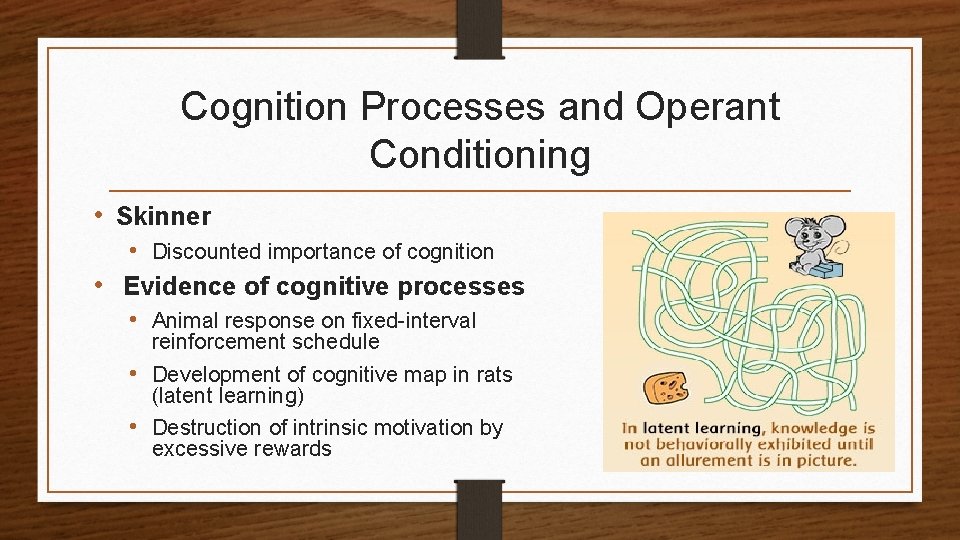 Cognition Processes and Operant Conditioning • Skinner • Discounted importance of cognition • Evidence
