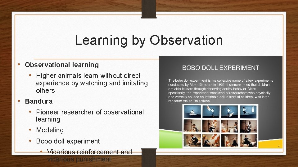 Learning by Observation • Observational learning • Higher animals learn without direct experience by