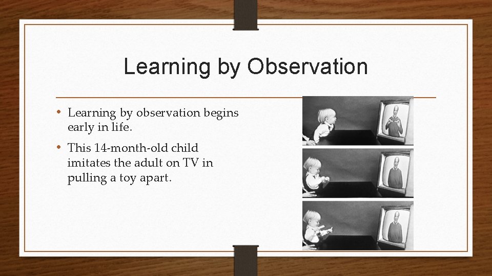 Learning by Observation • Learning by observation begins early in life. • This 14