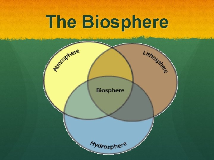 The Biosphere 