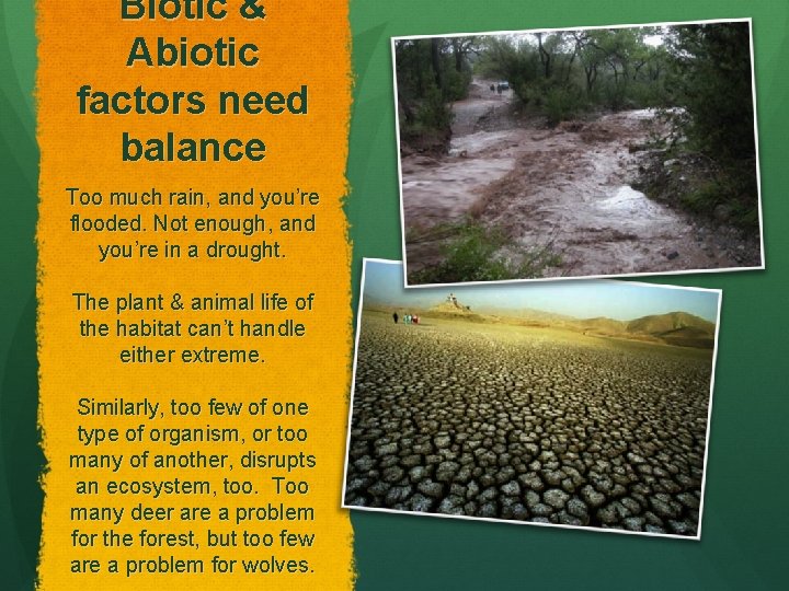 Biotic & Abiotic factors need balance Too much rain, and you’re flooded. Not enough,