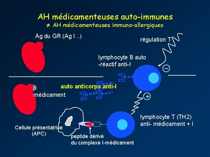 AH médicamenteuses auto-immunes AH médicamenteuses immuno-allergiques Ag du GR (Ag I. . ) régulation