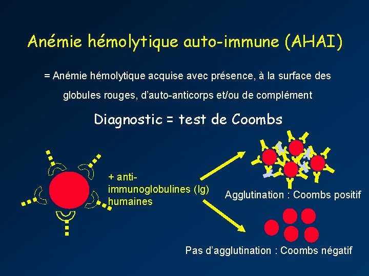 Anémie hémolytique auto-immune (AHAI) = Anémie hémolytique acquise avec présence, à la surface des