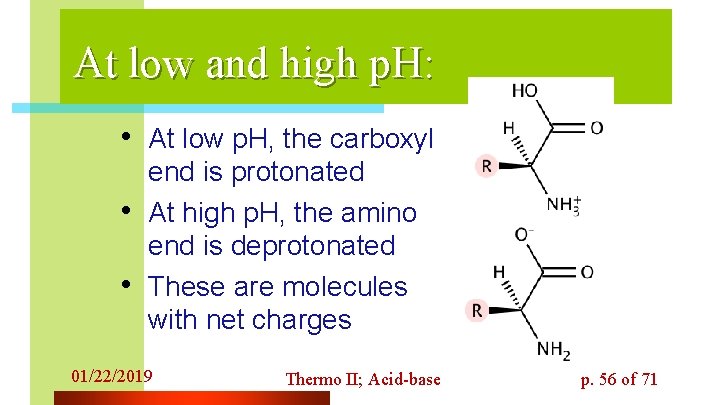 At low and high p. H: • At low p. H, the carboxyl •