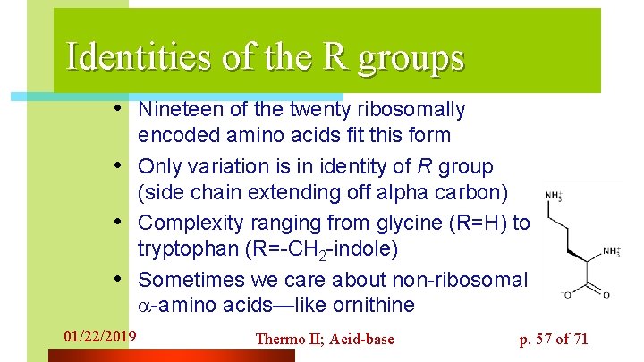 Identities of the R groups • Nineteen of the twenty ribosomally • • •