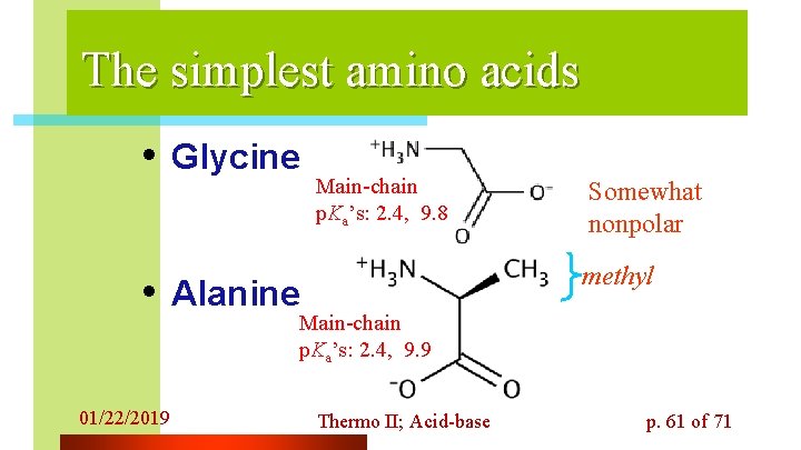The simplest amino acids • Glycine Main-chain p. Ka’s: 2. 4, 9. 8 Somewhat