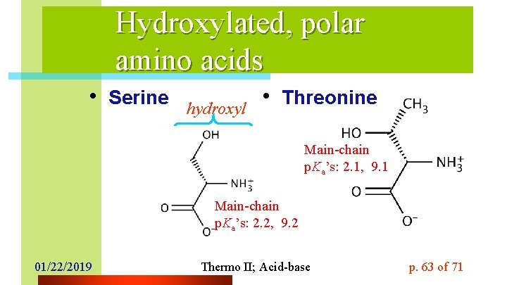 Hydroxylated, polar amino acids • Serine hydroxyl • Threonine Main-chain p. Ka’s: 2. 1,