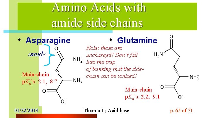 Amino Acids with amide side chains • Asparagine amide Main-chain p. Ka’s: 2. 1,