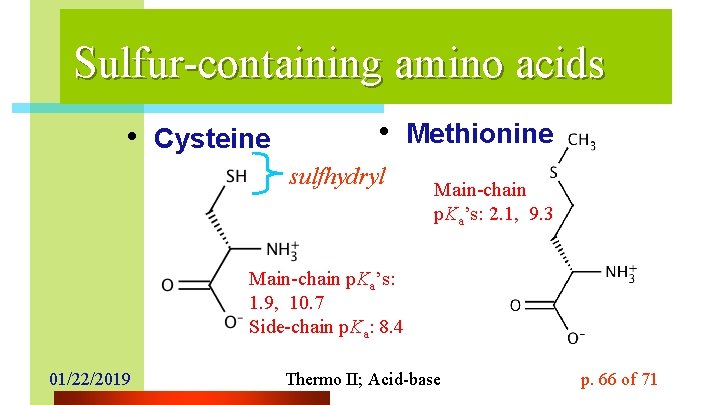 Sulfur-containing amino acids • Cysteine • Methionine sulfhydryl Main-chain p. Ka’s: 2. 1, 9.