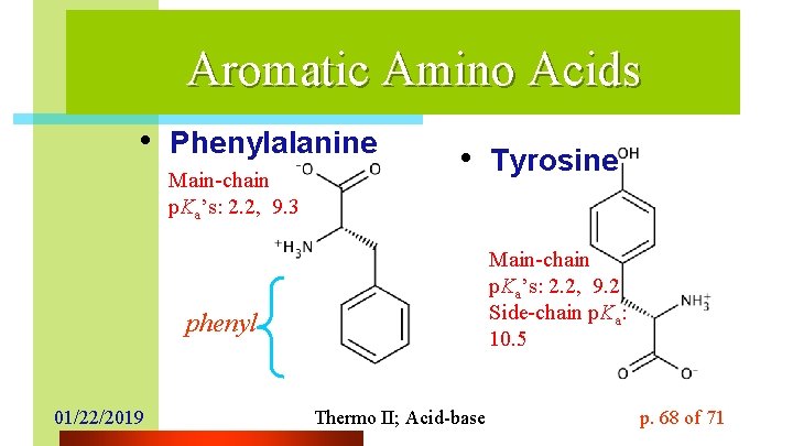 Aromatic Amino Acids • Phenylalanine Main-chain p. Ka’s: 2. 2, 9. 3 • Tyrosine