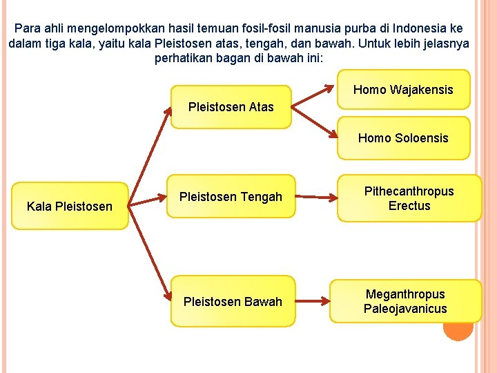 Para ahli mengelompokkan hasil temuan fosil-fosil manusia purba di Indonesia ke dalam tiga kala,