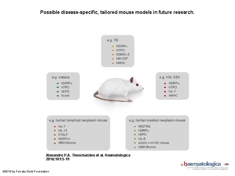 Possible disease-specific, tailored mouse models in future research. Alexandre P. A. Theocharides et al.