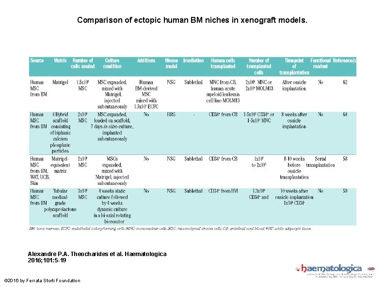 Comparison of ectopic human BM niches in xenograft models. Alexandre P. A. Theocharides et