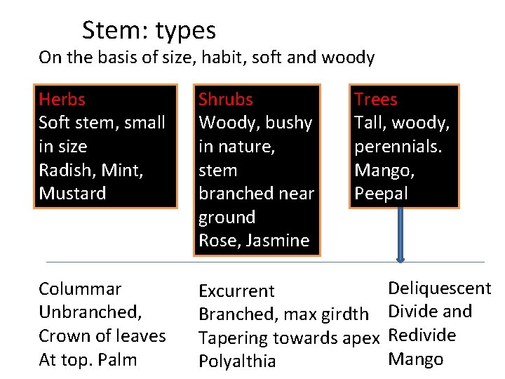 Stem: types On the basis of size, habit, soft and woody Trees Tall, woody,