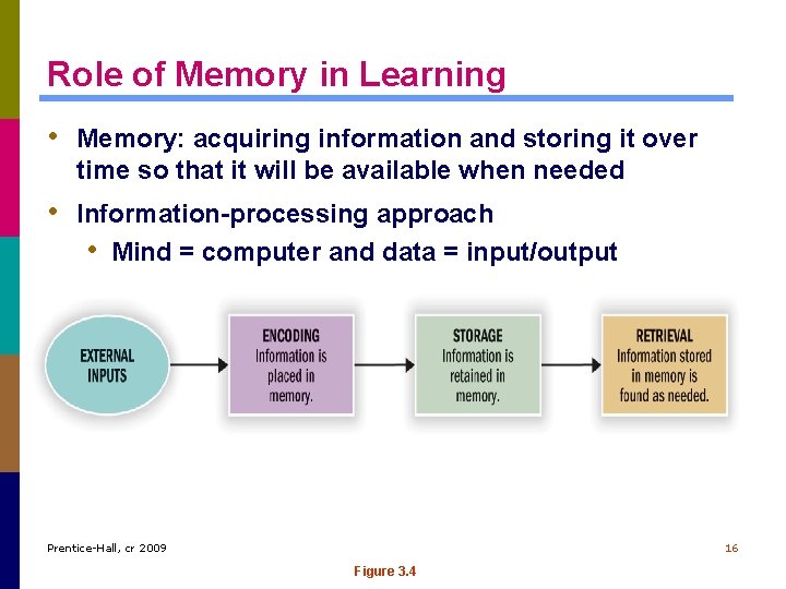 Role of Memory in Learning • Memory: acquiring information and storing it over time