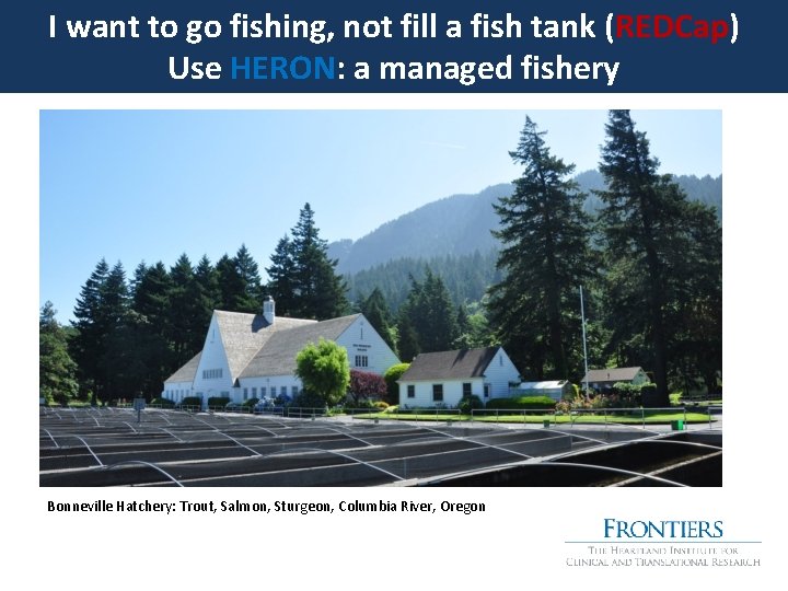 I want to go fishing, not fill a fish tank (REDCap) Use HERON: a