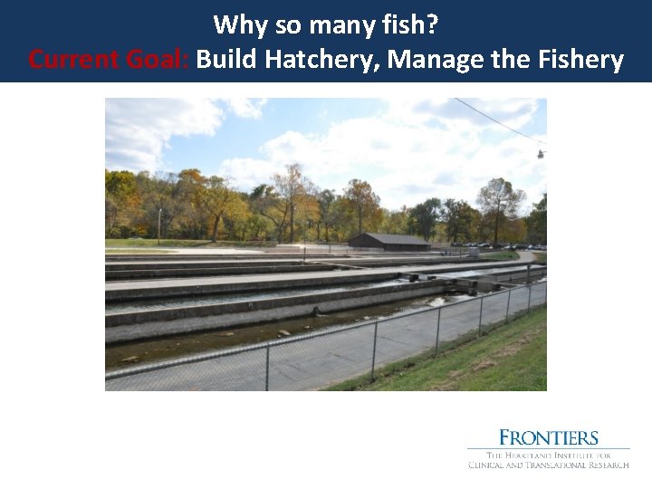 Why so many fish? Current Goal: Build Hatchery, Manage the Fishery 
