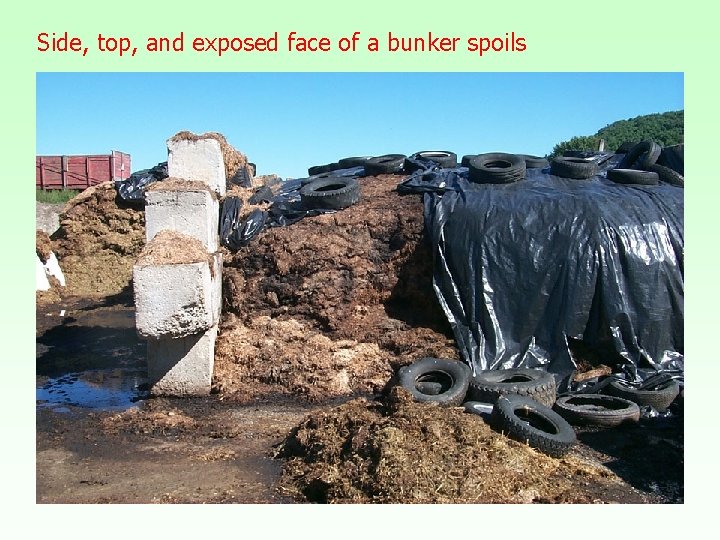 Side, top, and exposed face of a bunker spoils 