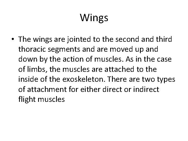Wings • The wings are jointed to the second and third thoracic segments and
