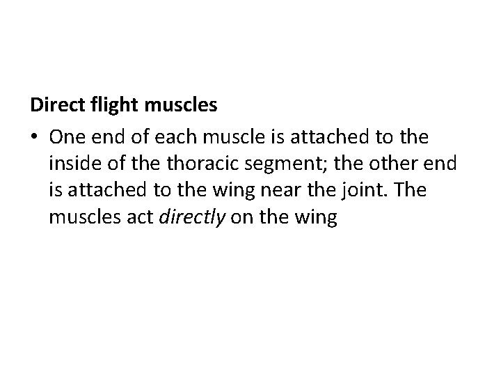 Direct flight muscles • One end of each muscle is attached to the inside