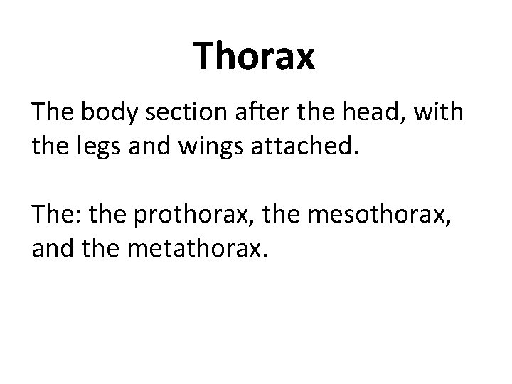 Thorax The body section after the head, with the legs and wings attached. The: