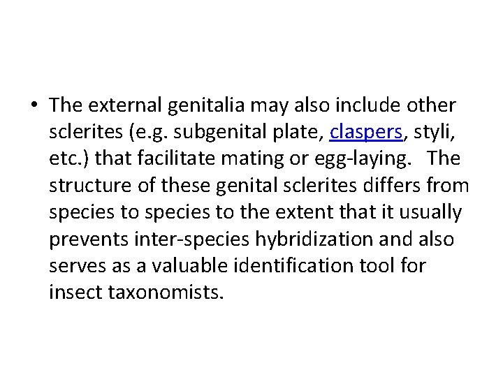  • The external genitalia may also include other sclerites (e. g. subgenital plate,