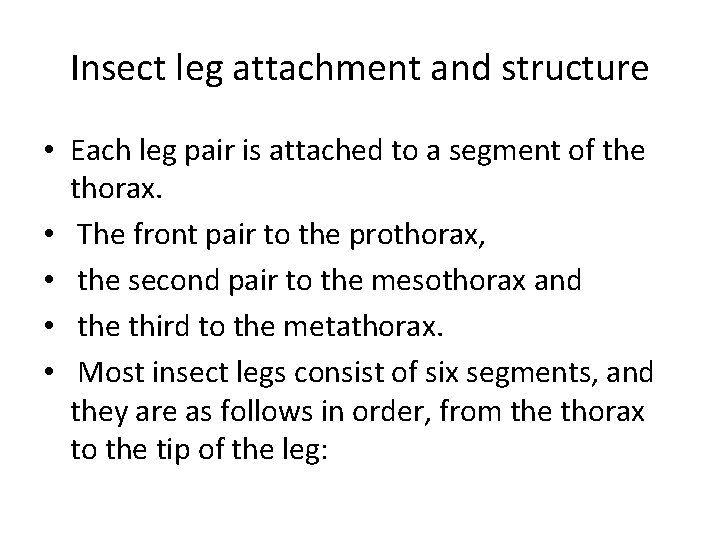 Insect leg attachment and structure • Each leg pair is attached to a segment