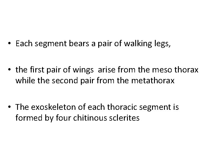  • Each segment bears a pair of walking legs, • the first pair