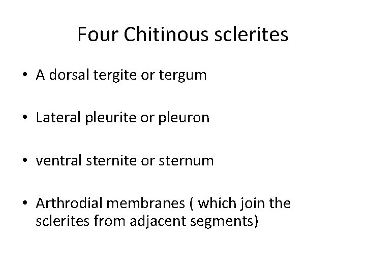 Four Chitinous sclerites • A dorsal tergite or tergum • Lateral pleurite or pleuron