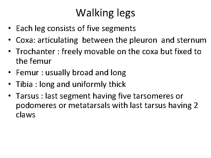 Walking legs • Each leg consists of five segments • Coxa: articulating between the