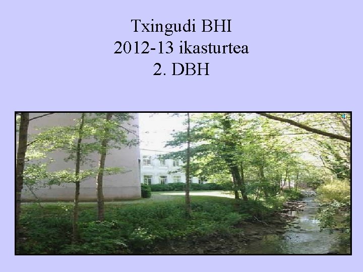 Txingudi BHI 2012 -13 ikasturtea 2. DBH 