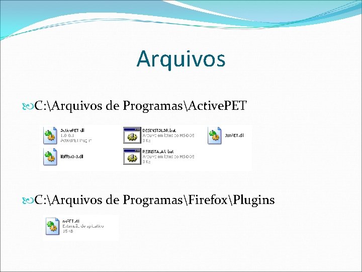 Arquivos C: Arquivos de ProgramasActive. PET C: Arquivos de ProgramasFirefoxPlugins 