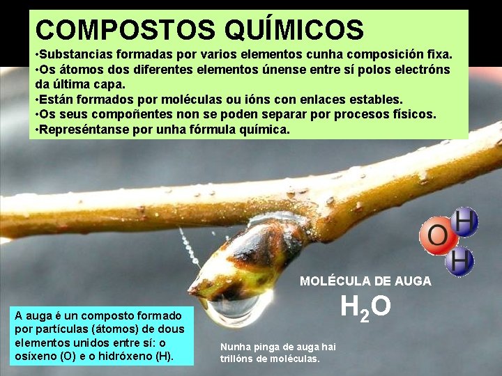 COMPOSTOS QUÍMICOS • Substancias formadas por varios elementos cunha composición fixa. • Os átomos