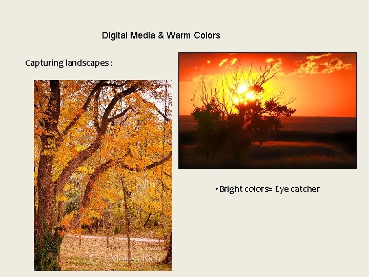 Digital Media & Warm Colors Capturing landscapes : • Bright colors= Eye catcher 