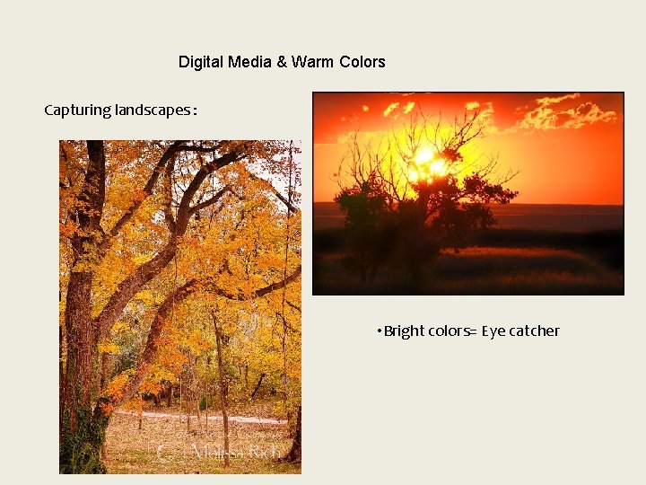 Digital Media & Warm Colors Capturing landscapes : • Bright colors= Eye catcher Digital Media & Warm Colors Capturing landscapes : • Bright colors= Eye catcher