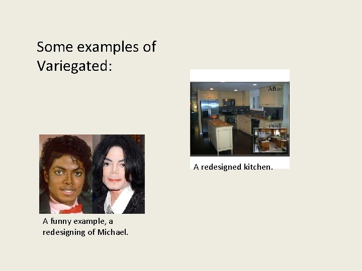 Some examples of Variegated: A redesigned kitchen. A funny example, a redesigning of Michael.