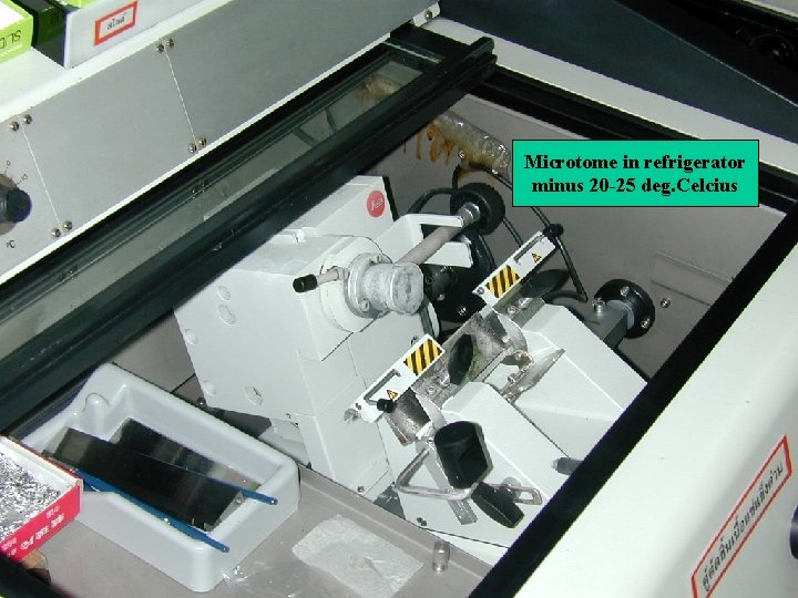 Microtome in refrigerator minus 20 -25 deg. Celcius 