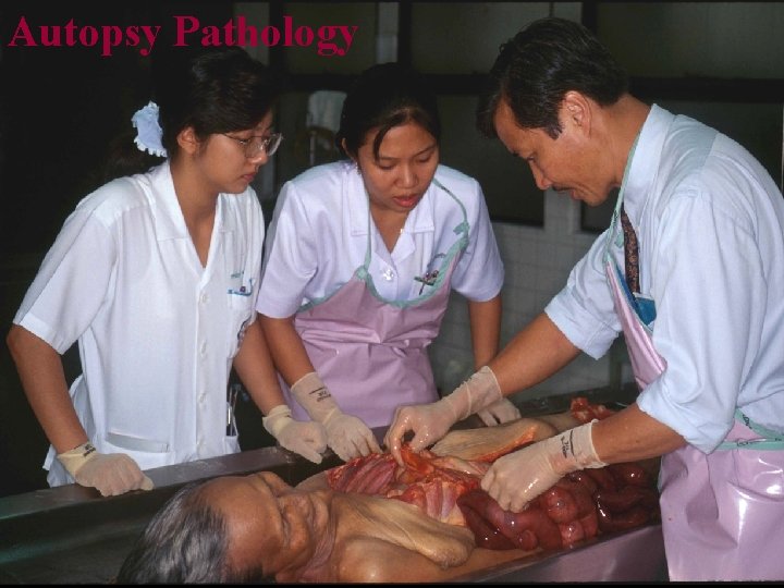 Autopsy Pathology 