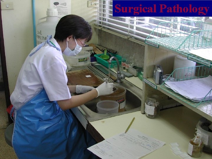 Surgical Pathology 