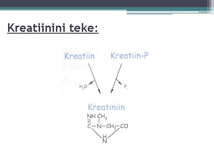 Kreatiinini teke: 