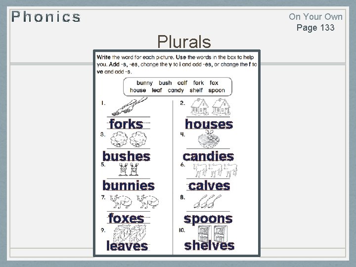 Plurals forks houses bushes candies bunnies calves foxes spoons leaves shelves On Your Own
