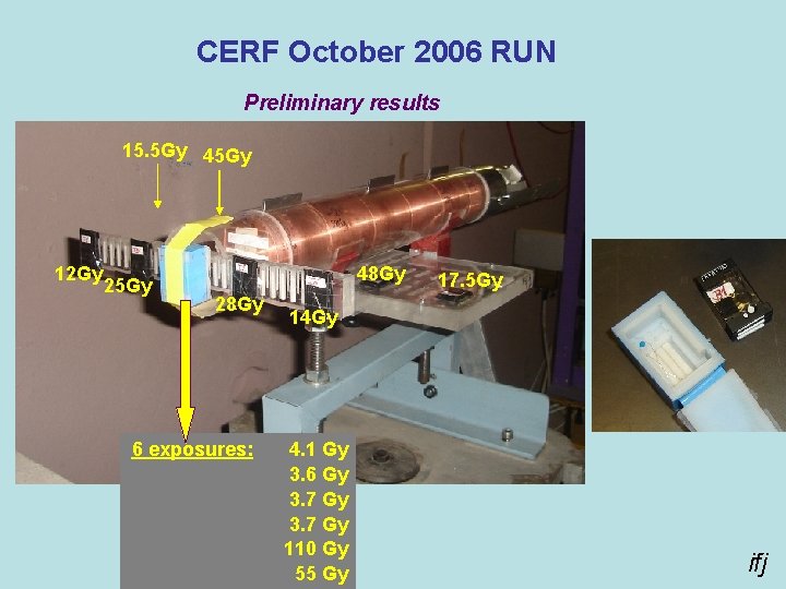 CERF October 2006 RUN Preliminary results 15. 5 Gy 45 Gy 12 Gy 25