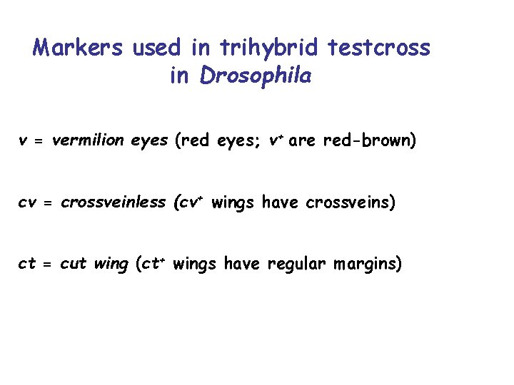 Markers used in trihybrid testcross in Drosophila v = vermilion eyes (red eyes; v+